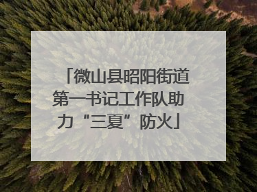 微山县昭阳街道第一书记工作队助力“三夏”防火