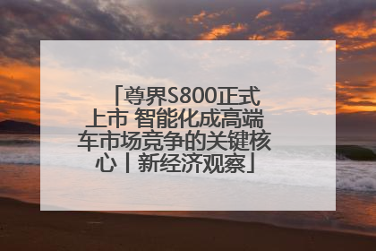 尊界S800正式上市 智能化成高端车市场竞争的关键核心丨新经济观察