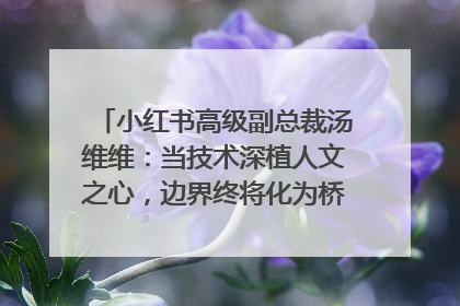 小红书高级副总裁汤维维：当技术深植人文之心，边界终将化为桥梁｜聚焦2025文化强国建设高峰论坛