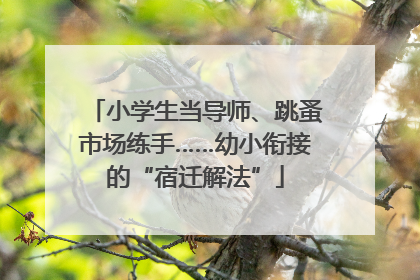 小学生当导师、跳蚤市场练手……幼小衔接的“宿迁解法”