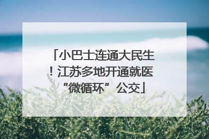 小巴士连通大民生！江苏多地开通就医“微循环”公交