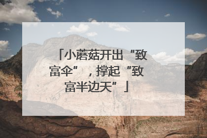 小蘑菇开出“致富伞”，撑起“致富半边天”