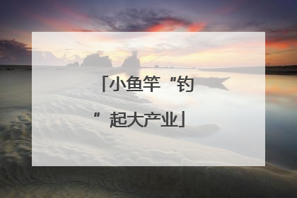 小鱼竿“钓”起大产业