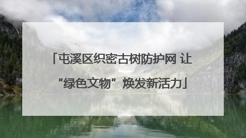 屯溪区织密古树防护网 让“绿色文物”焕发新活力