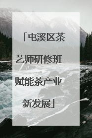 屯溪区茶艺师研修班赋能茶产业新发展