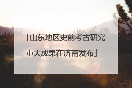 山东地区史前考古研究重大成果在济南发布