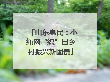 山东惠民：小绳网“织”出乡村振兴新图景