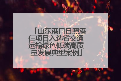 山东港口日照港仨项目入选省交通运输绿色低碳高质量发展典型案例