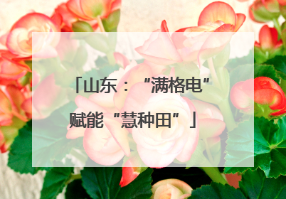 山东：“满格电”赋能“慧种田”