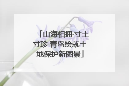 山海相拥·寸土寸珍 青岛绘就土地保护新图景