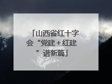 山西省红十字会“党建＋红建”谱新篇