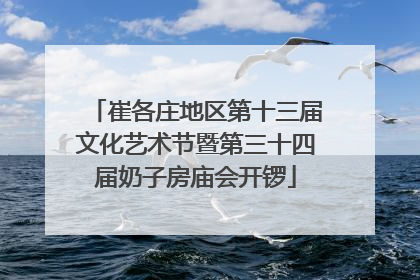 崔各庄地区第十三届文化艺术节暨第三十四届奶子房庙会开锣
