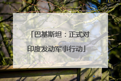 巴基斯坦：正式对印度发动军事行动