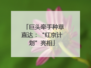 巨头牵手种草直达：“红京计划”亮相