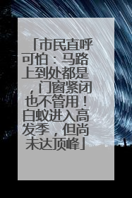 市民直呼可怕：马路上到处都是，门窗紧闭也不管用！白蚁进入高发季，但尚未达顶峰
