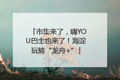 市集来了，嗨YOU巴士也来了！海淀玩转“龙舟+”