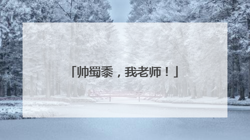 帅蜀黍，我老师！