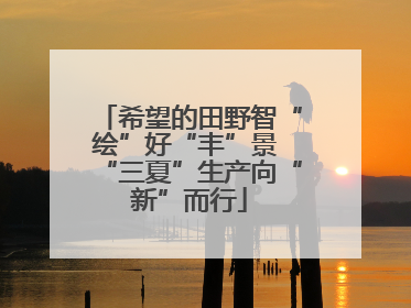 希望的田野智“绘”好“丰”景 “三夏”生产向“新”而行