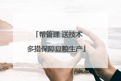 帮管理 送技术 多措保障夏粮生产