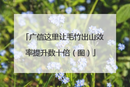 广信这里让毛竹出山效率提升数十倍（图）
