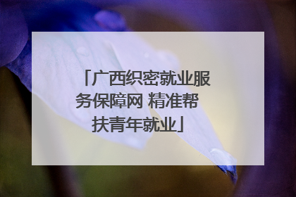 广西织密就业服务保障网 精准帮扶青年就业