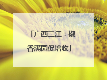 广西三江：椒香满园促增收
