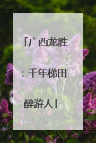 广西龙胜：千年梯田醉游人