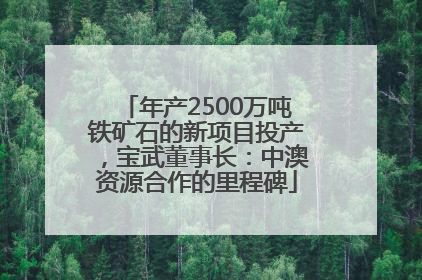 年产2500万吨铁矿石的新项目投产，宝武董事长：中澳资源合作的里程碑