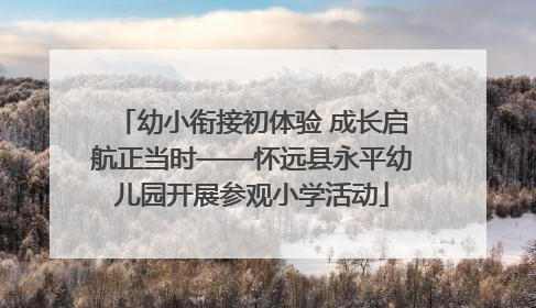 幼小衔接初体验 成长启航正当时——怀远县永平幼儿园开展参观小学活动
