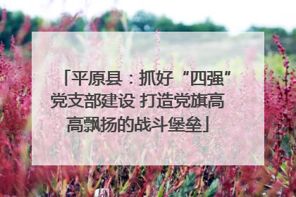 平原县：抓好“四强”党支部建设 打造党旗高高飘扬的战斗堡垒