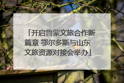 开启鲁蒙文旅合作新篇章 鄂尔多斯与山东文旅资源对接会举办