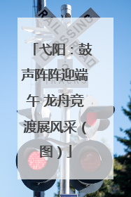 弋阳：鼓声阵阵迎端午 龙舟竞渡展风采（图）