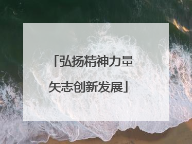 弘扬精神力量 矢志创新发展