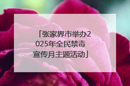 张家界市举办2025年全民禁毒宣传月主题活动