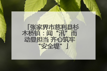 张家界市慈利县杉木桥镇：闻“汛”而动显担当 齐心筑牢“安全堤”