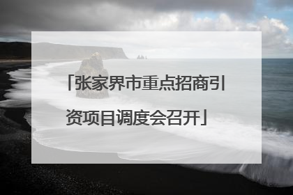 张家界市重点招商引资项目调度会召开