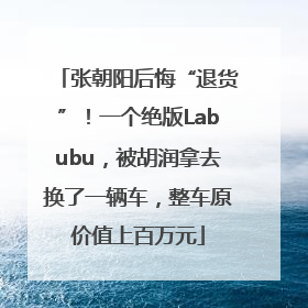 张朝阳后悔“退货”！一个绝版Labubu，被胡润拿去换了一辆车，整车原价值上百万元
