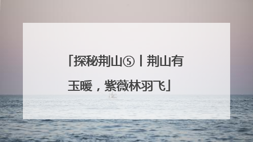 探秘荆山⑤丨荆山有玉暖，紫薇林羽飞