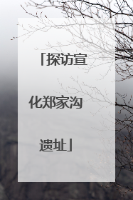 探访宣化郑家沟遗址