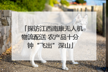 探访江西南康无人机物流配送 农产品十分钟“飞出”深山