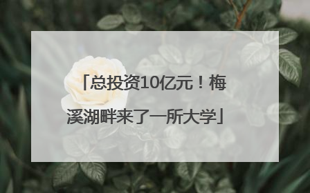 总投资10亿元！梅溪湖畔来了一所大学