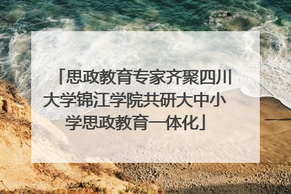 思政教育专家齐聚四川大学锦江学院共研大中小学思政教育一体化