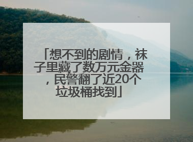 想不到的剧情，袜子里藏了数万元金器，民警翻了近20个垃圾桶找到
