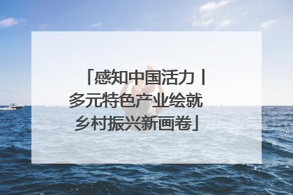 感知中国活力丨多元特色产业绘就乡村振兴新画卷