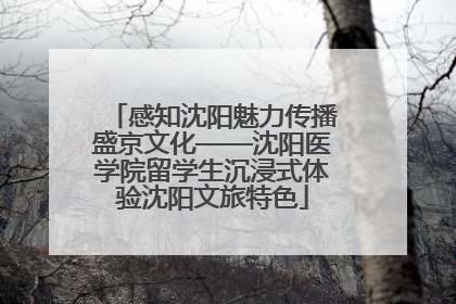 感知沈阳魅力传播盛京文化——沈阳医学院留学生沉浸式体验沈阳文旅特色