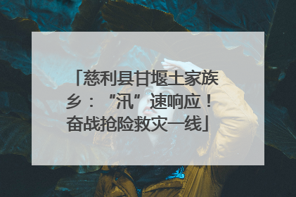 慈利县甘堰土家族乡：“汛”速响应！奋战抢险救灾一线