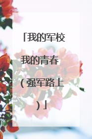 我的军校 我的青春（强军路上）