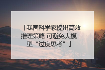 我国科学家提出高效推理策略 可避免大模型“过度思考”