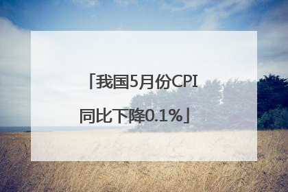 我国5月份CPI同比下降0.1%
