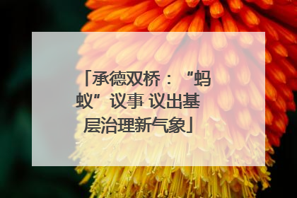 承德双桥：“蚂蚁”议事 议出基层治理新气象
